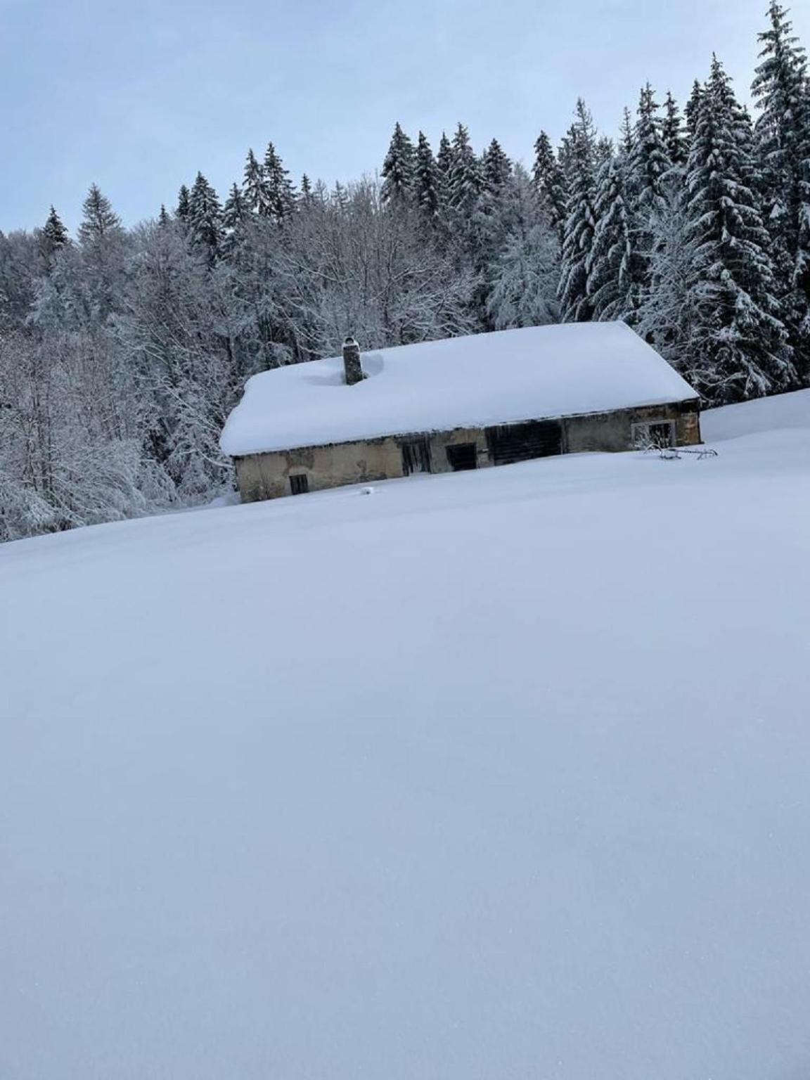 Ferienwohnung La Petite Fille Des Rivieres Foncine-le-Bas Exterior foto